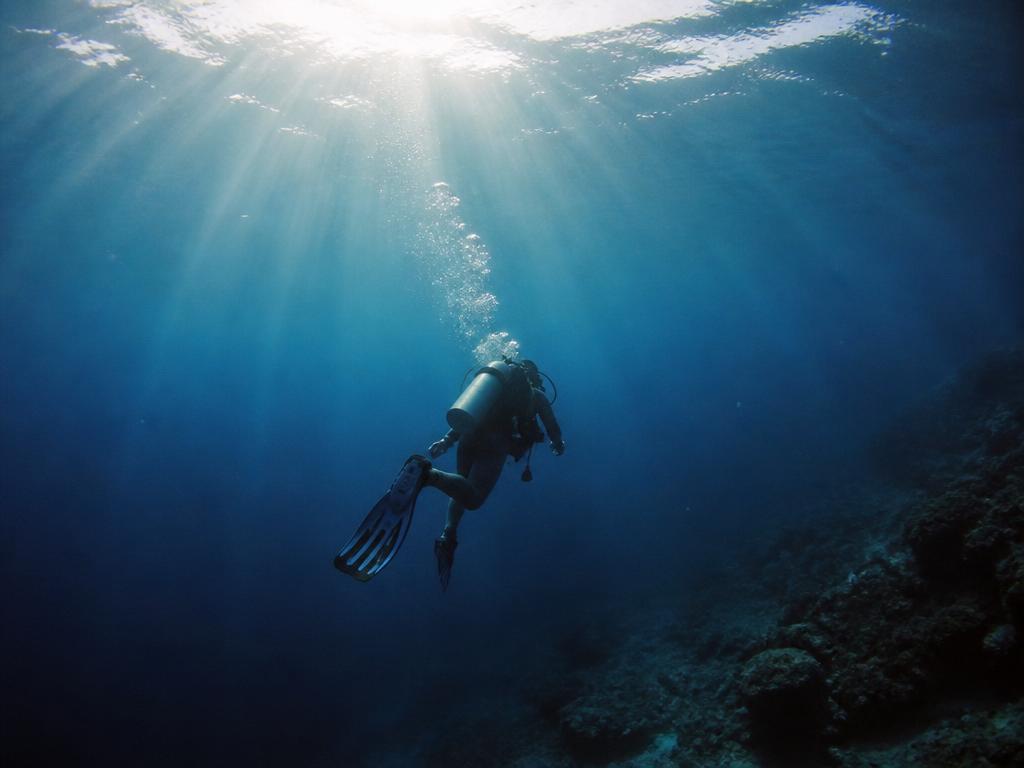 Group snorkeling above a sunlit shallow coastal marine habitat